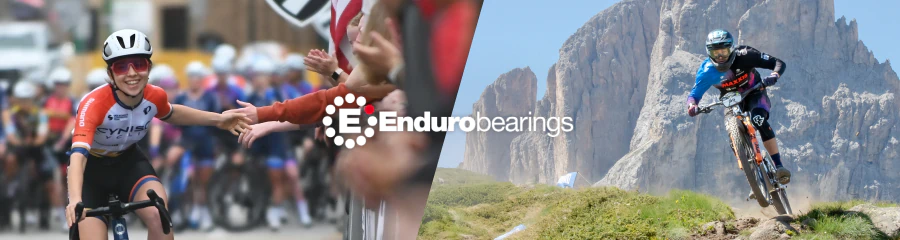 Enduro Bearings