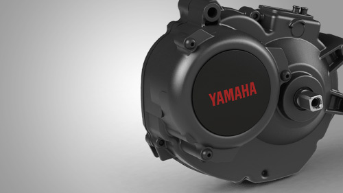 Moteur Yamaha PW